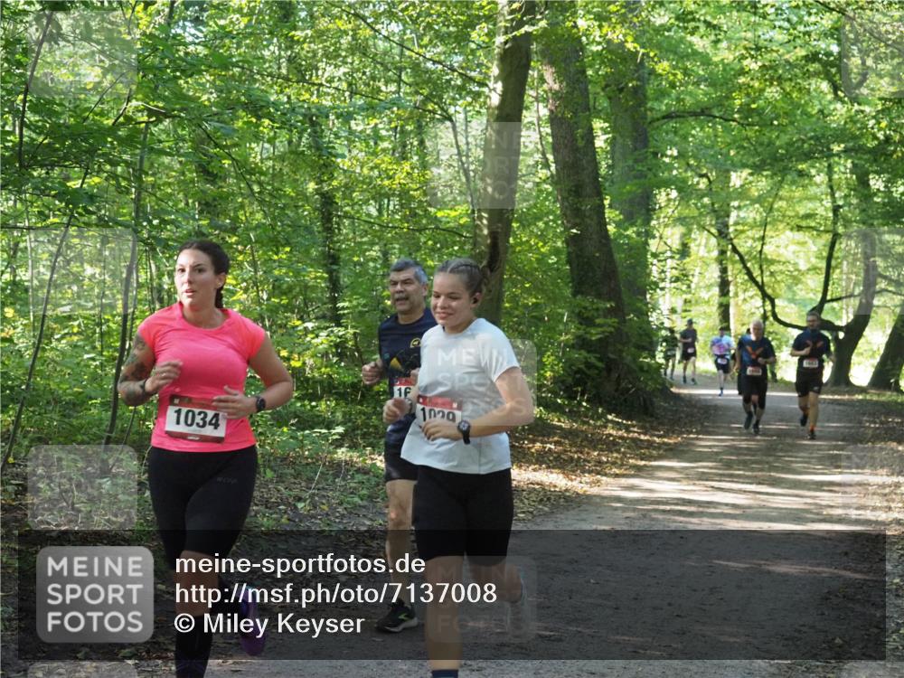 22.09.2024 - 32. Volkslauf durch das schöne Alstertal Miley Keyser http://msf.ph/oto/7137008 22.09.2024 10:23:54 Laufen 1034, 1, 1020 meine-sportfotos.de
