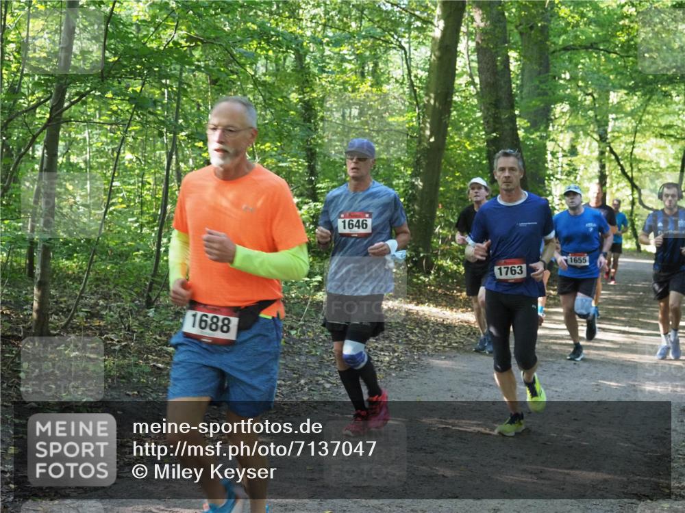22.09.2024 - 32. Volkslauf durch das schöne Alstertal Miley Keyser http://msf.ph/oto/7137047 22.09.2024 10:23:37 Laufen 1688, 1646, 1763, 1655 meine-sportfotos.de