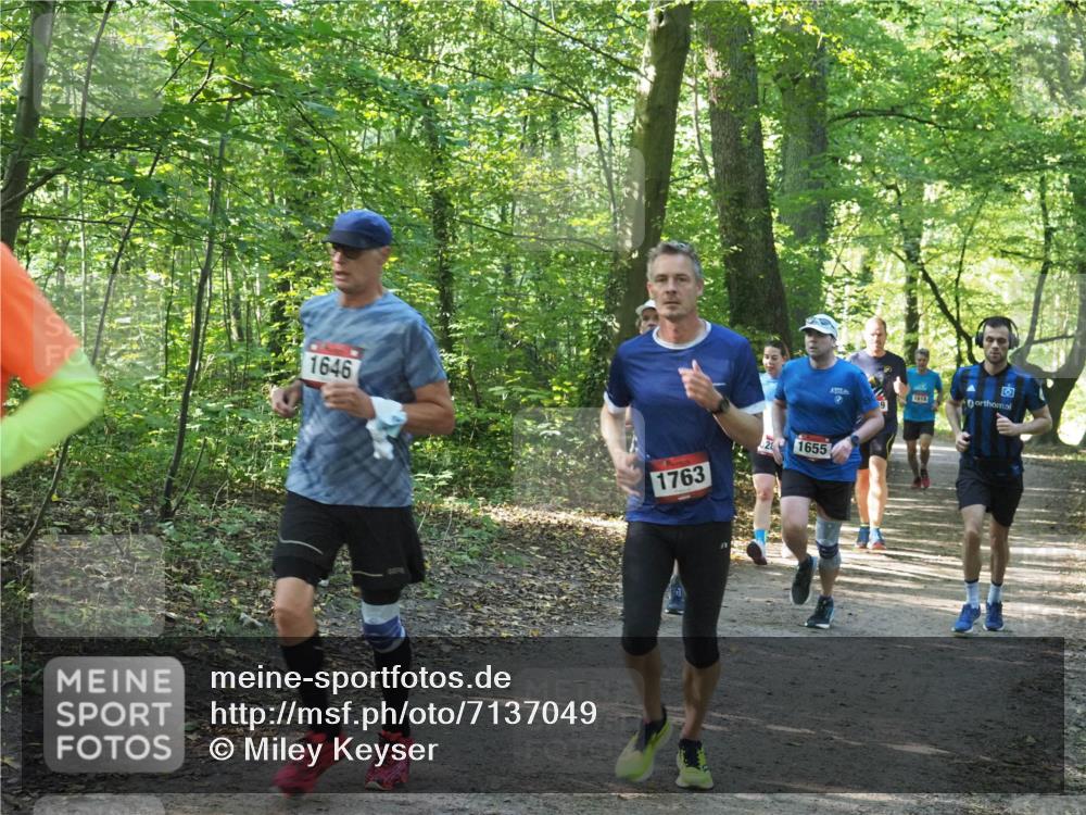 22.09.2024 - 32. Volkslauf durch das schöne Alstertal Miley Keyser http://msf.ph/oto/7137049 22.09.2024 10:23:37 Laufen 1646, 1763, 21655, 414, 9 meine-sportfotos.de