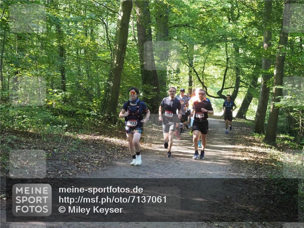 22.09.2024 - 32. Volkslauf durch das schöne Alstertal Miley Keyser http://msf.ph/oto/7137061 22.09.2024 10:23:33 Laufen 1033, 1754, 46, 1755 meine-sportfotos.de