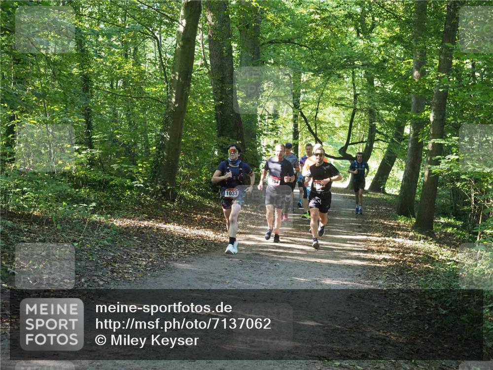 22.09.2024 - 32. Volkslauf durch das schöne Alstertal Miley Keyser http://msf.ph/oto/7137062 22.09.2024 10:23:32 Laufen 1033, 754, 175 meine-sportfotos.de