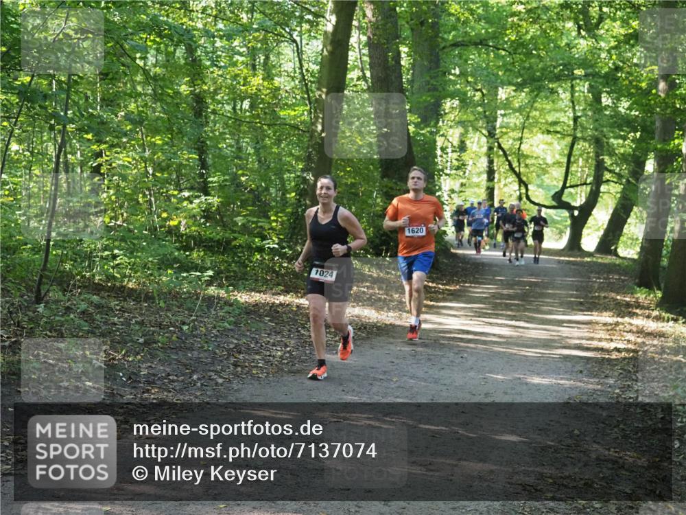 22.09.2024 - 32. Volkslauf durch das schöne Alstertal Miley Keyser http://msf.ph/oto/7137074 22.09.2024 10:23:26 Laufen 1024, 1620 meine-sportfotos.de