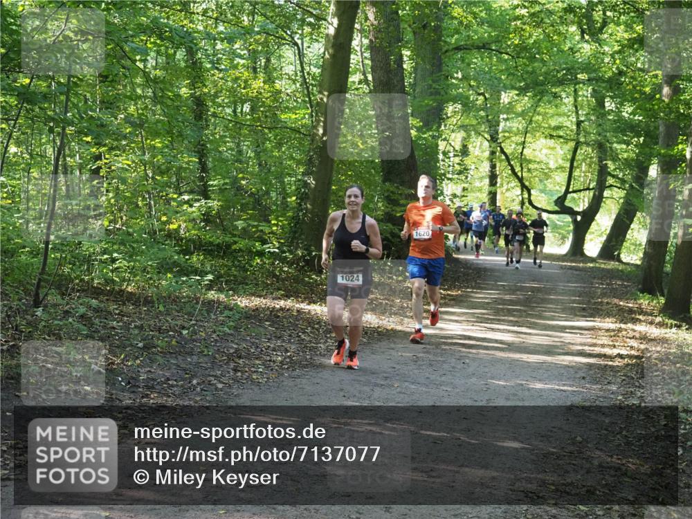 22.09.2024 - 32. Volkslauf durch das schöne Alstertal Miley Keyser http://msf.ph/oto/7137077 22.09.2024 10:23:25 Laufen 1024, 1620 meine-sportfotos.de