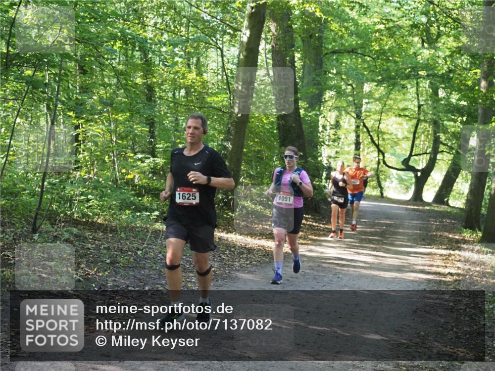 22.09.2024 - 32. Volkslauf durch das schöne Alstertal Miley Keyser http://msf.ph/oto/7137082 22.09.2024 10:23:23 Laufen 1091, 1625 meine-sportfotos.de