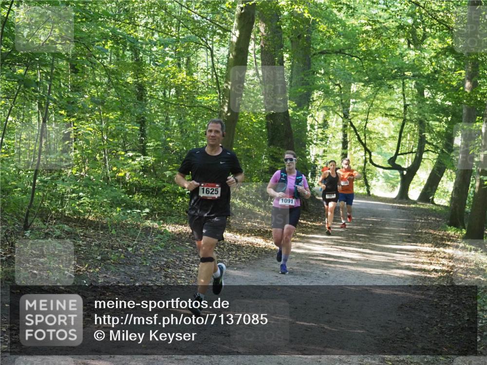 22.09.2024 - 32. Volkslauf durch das schöne Alstertal Miley Keyser http://msf.ph/oto/7137085 22.09.2024 10:23:22 Laufen 1625, 1024, 1091 meine-sportfotos.de