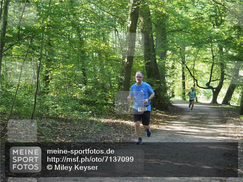 22.09.2024 - 32. Volkslauf durch das schöne Alstertal Miley Keyser http://msf.ph/oto/7137099 22.09.2024 10:23:05 Laufen 1622 meine-sportfotos.de