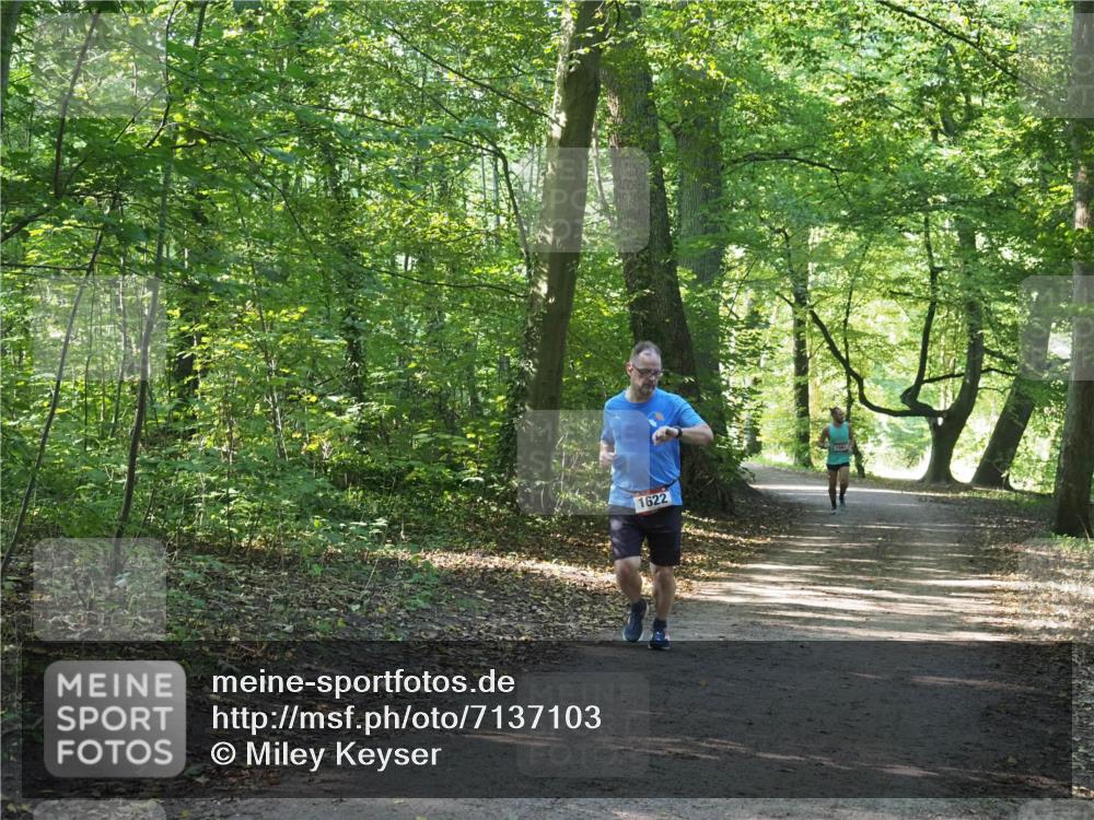 22.09.2024 - 32. Volkslauf durch das schöne Alstertal Miley Keyser http://msf.ph/oto/7137103 22.09.2024 10:23:05 Laufen 1622 meine-sportfotos.de