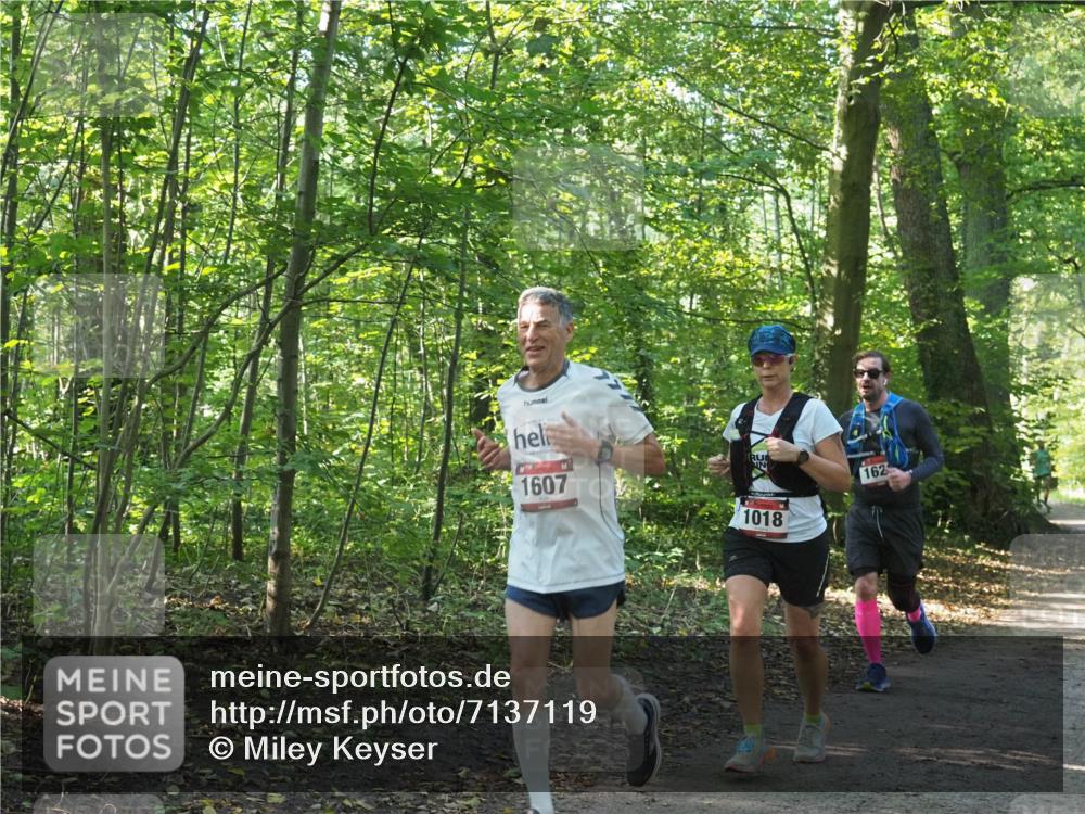22.09.2024 - 32. Volkslauf durch das schöne Alstertal Miley Keyser http://msf.ph/oto/7137119 22.09.2024 10:22:59 Laufen 1607, 162, 1018 meine-sportfotos.de