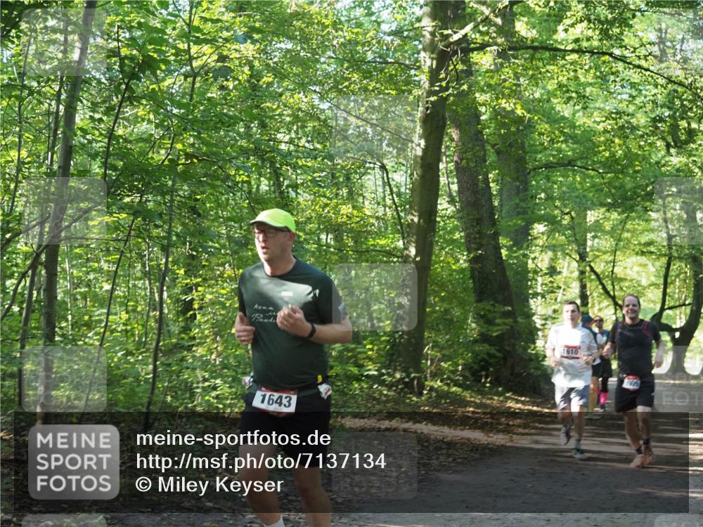 22.09.2024 - 32. Volkslauf durch das schöne Alstertal Miley Keyser http://msf.ph/oto/7137134 22.09.2024 10:22:55 Laufen 1610, 1643 meine-sportfotos.de
