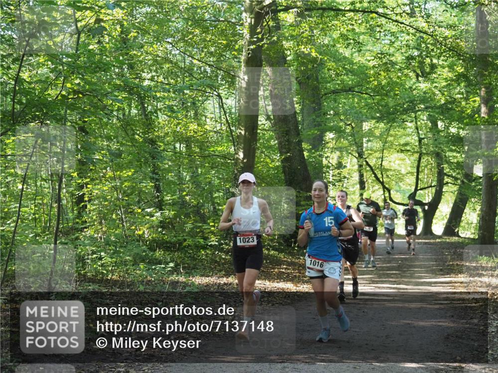 22.09.2024 - 32. Volkslauf durch das schöne Alstertal Miley Keyser http://msf.ph/oto/7137148 22.09.2024 10:22:50 Laufen 1023, 15, 1016, 1043 meine-sportfotos.de