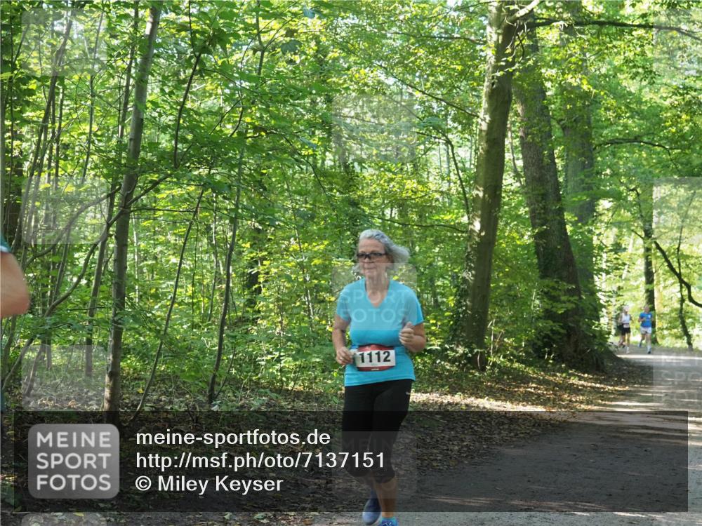 22.09.2024 - 32. Volkslauf durch das schöne Alstertal Miley Keyser http://msf.ph/oto/7137151 22.09.2024 10:22:38 Laufen 1112 meine-sportfotos.de