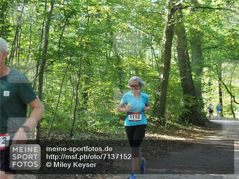22.09.2024 - 32. Volkslauf durch das schöne Alstertal Miley Keyser http://msf.ph/oto/7137152 22.09.2024 10:22:38 Laufen 2, 1112 meine-sportfotos.de