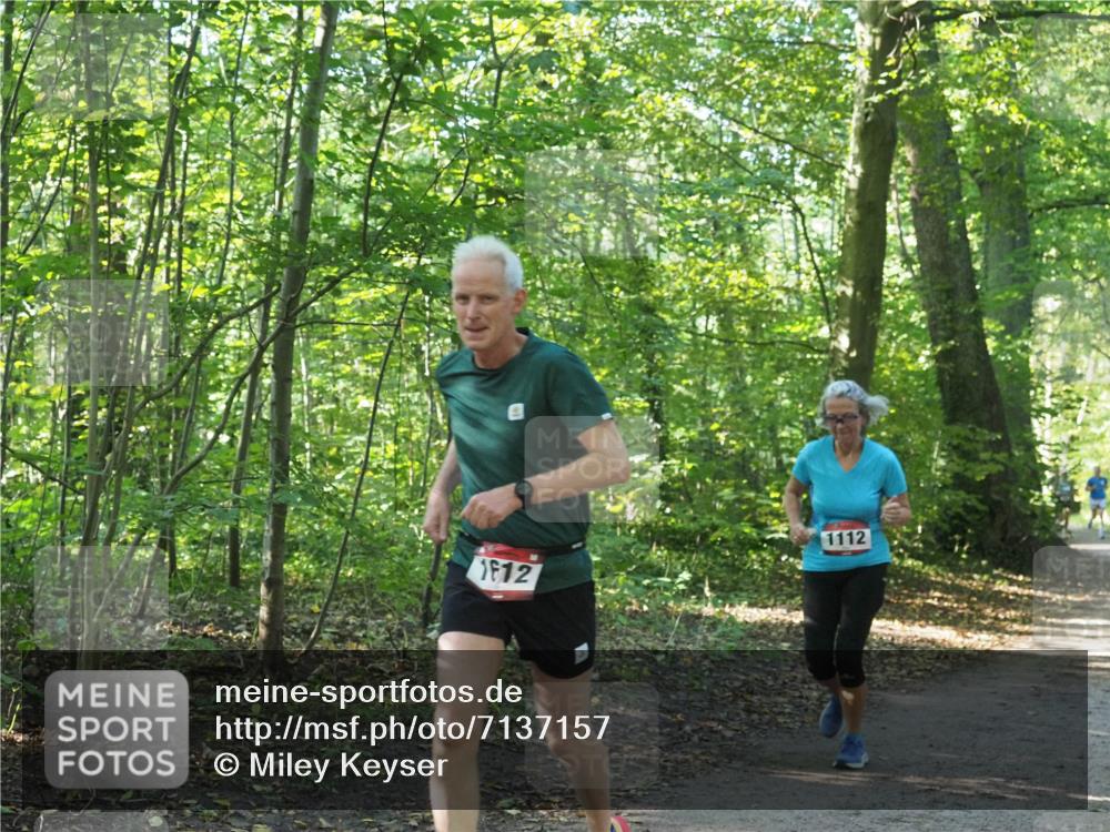 22.09.2024 - 32. Volkslauf durch das schöne Alstertal Miley Keyser http://msf.ph/oto/7137157 22.09.2024 10:22:37 Laufen 1112, 12 meine-sportfotos.de