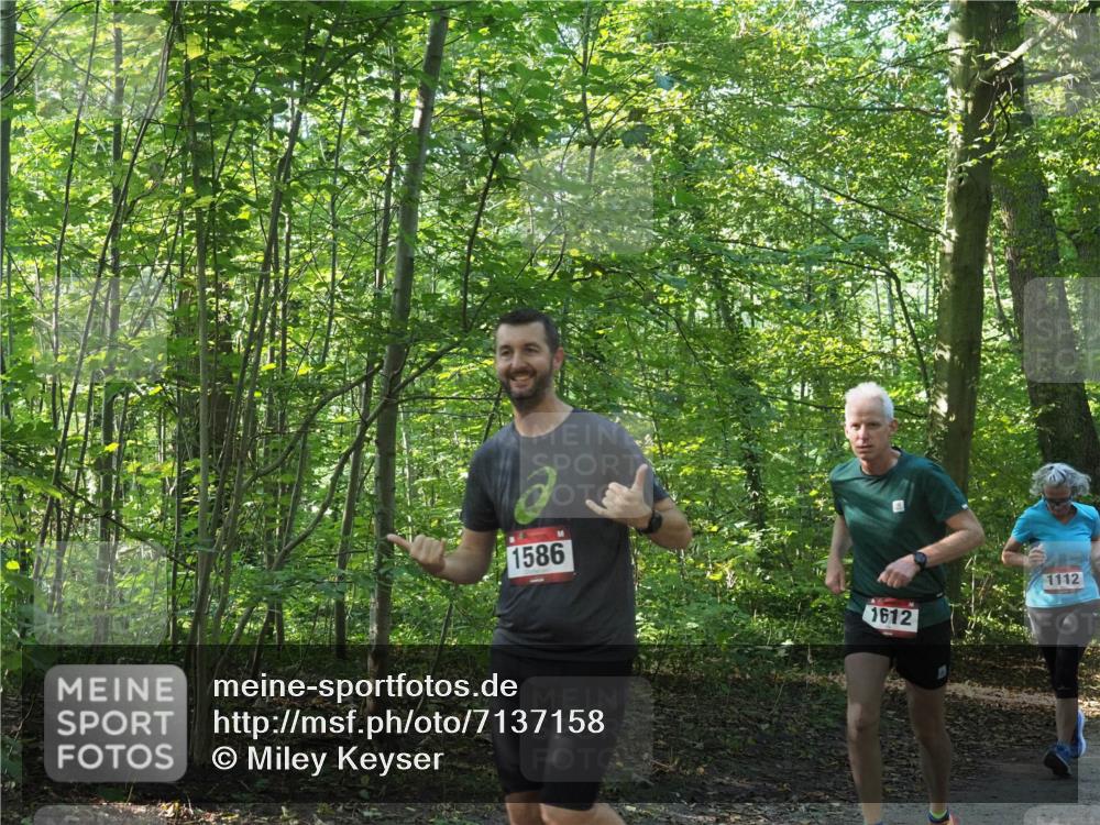 22.09.2024 - 32. Volkslauf durch das schöne Alstertal Miley Keyser http://msf.ph/oto/7137158 22.09.2024 10:22:37 Laufen 1586, 1612, 1112 meine-sportfotos.de