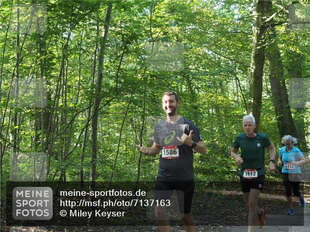 22.09.2024 - 32. Volkslauf durch das schöne Alstertal Miley Keyser http://msf.ph/oto/7137163 22.09.2024 10:22:36 Laufen 1586, 1612, 1112 meine-sportfotos.de