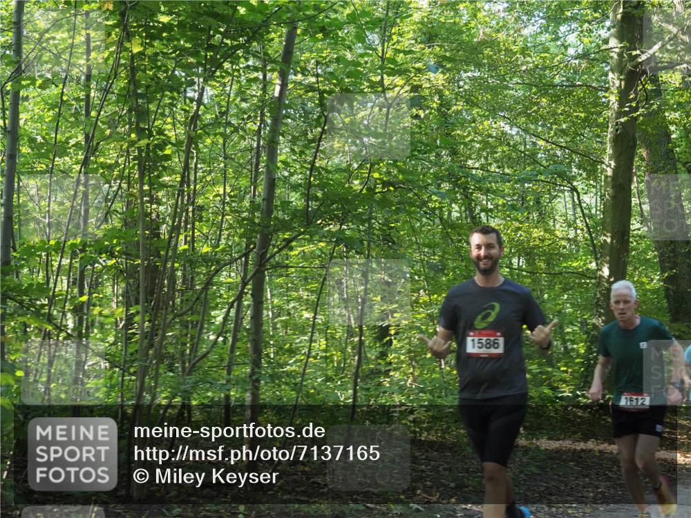 22.09.2024 - 32. Volkslauf durch das schöne Alstertal Miley Keyser http://msf.ph/oto/7137165 22.09.2024 10:22:36 Laufen 1586, 1612 meine-sportfotos.de