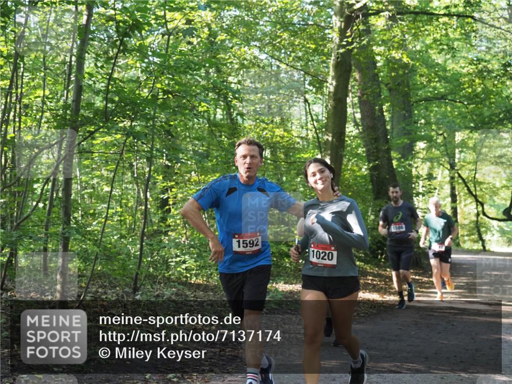 22.09.2024 - 32. Volkslauf durch das schöne Alstertal Miley Keyser http://msf.ph/oto/7137174 22.09.2024 10:22:34 Laufen 1592, 1020, 1586 meine-sportfotos.de