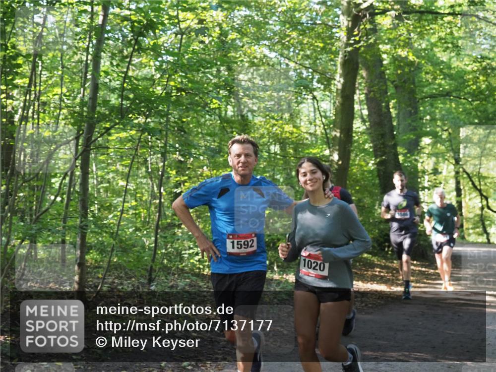 22.09.2024 - 32. Volkslauf durch das schöne Alstertal Miley Keyser http://msf.ph/oto/7137177 22.09.2024 10:22:34 Laufen 1592, 1020 meine-sportfotos.de