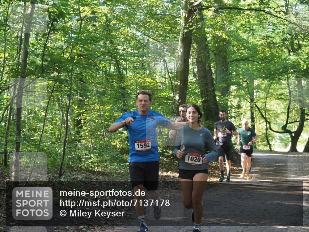22.09.2024 - 32. Volkslauf durch das schöne Alstertal Miley Keyser http://msf.ph/oto/7137178 22.09.2024 10:22:33 Laufen 1592, 1020, 586, 1612 meine-sportfotos.de