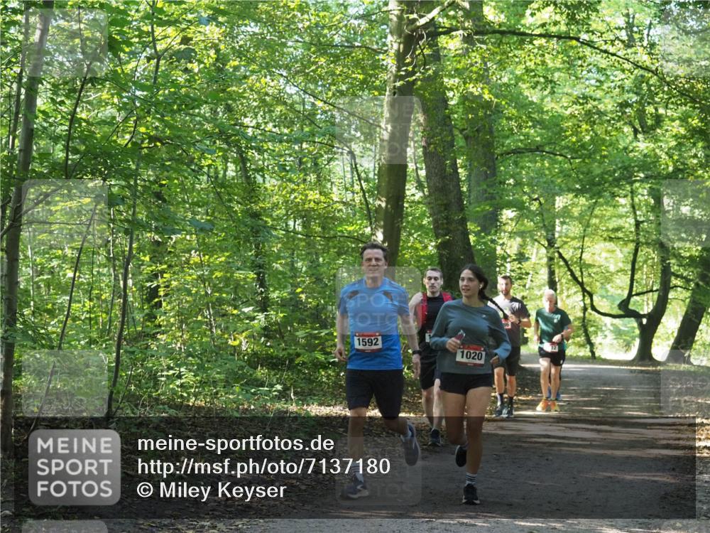 22.09.2024 - 32. Volkslauf durch das schöne Alstertal Miley Keyser http://msf.ph/oto/7137180 22.09.2024 10:22:33 Laufen 1592, 1020 meine-sportfotos.de