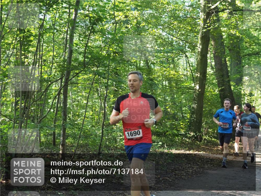 22.09.2024 - 32. Volkslauf durch das schöne Alstertal Miley Keyser http://msf.ph/oto/7137184 22.09.2024 10:22:32 Laufen 1690, 592, 1020 meine-sportfotos.de