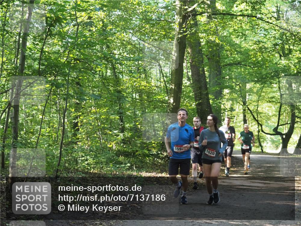 22.09.2024 - 32. Volkslauf durch das schöne Alstertal Miley Keyser http://msf.ph/oto/7137186 22.09.2024 10:22:32 Laufen 1592, 159, 1020 meine-sportfotos.de