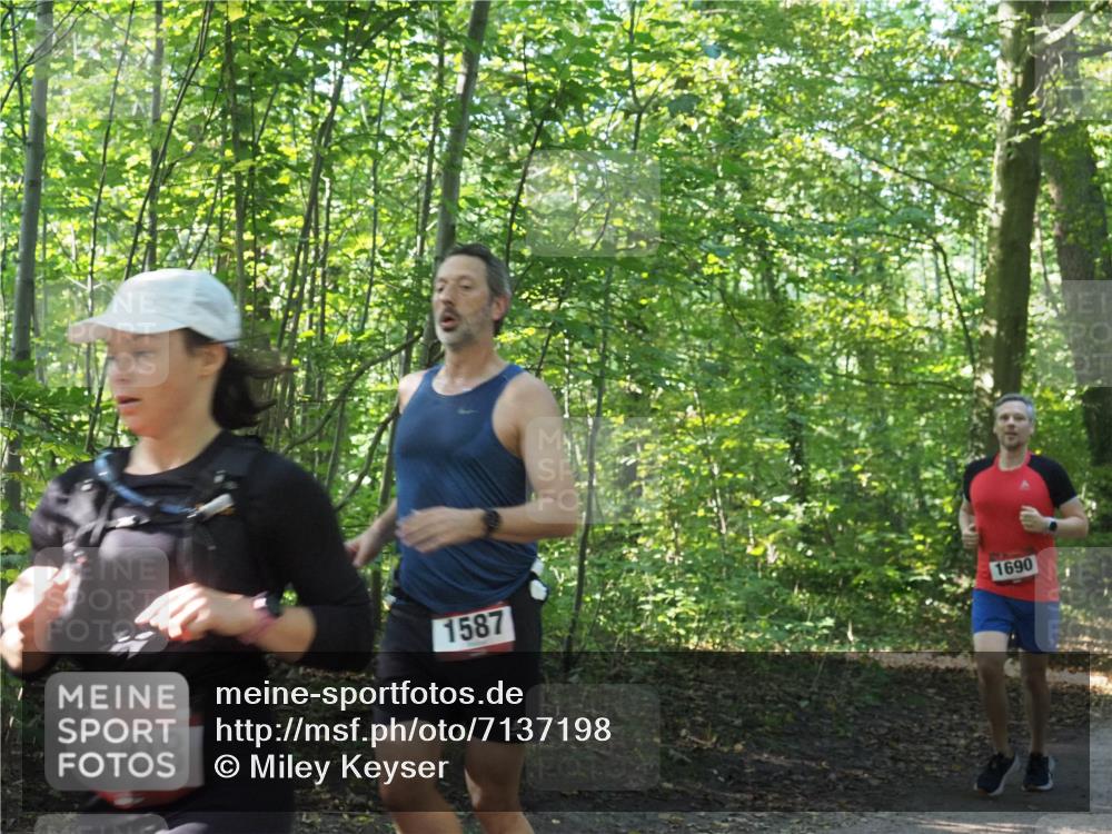 22.09.2024 - 32. Volkslauf durch das schöne Alstertal Miley Keyser http://msf.ph/oto/7137198 22.09.2024 10:22:30 Laufen 13008, 1587, 1690 meine-sportfotos.de