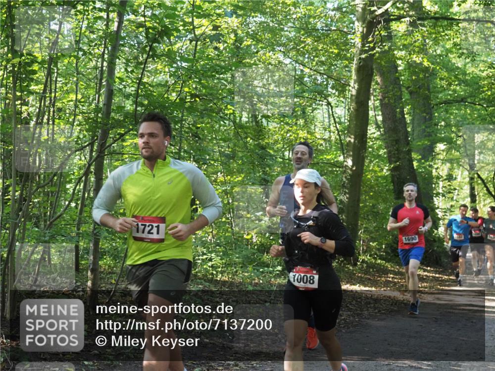 22.09.2024 - 32. Volkslauf durch das schöne Alstertal Miley Keyser http://msf.ph/oto/7137200 22.09.2024 10:22:29 Laufen 1721, 1008, 1690, 1020 meine-sportfotos.de