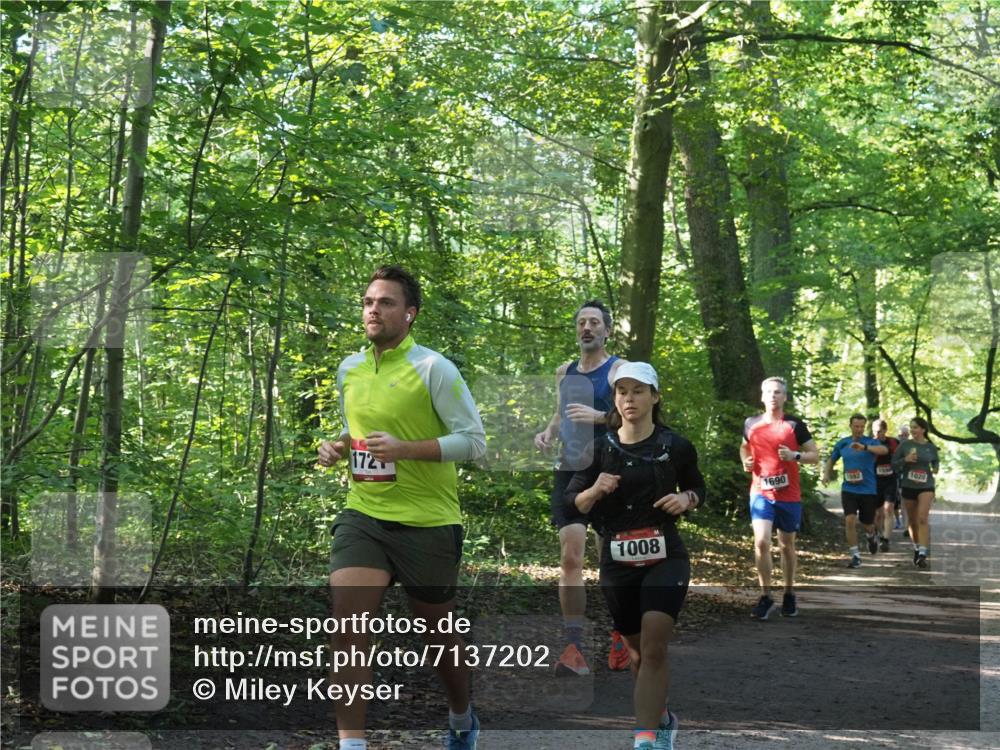 22.09.2024 - 32. Volkslauf durch das schöne Alstertal Miley Keyser http://msf.ph/oto/7137202 22.09.2024 10:22:29 Laufen 172, 1008, 1690, 1592, 1020 meine-sportfotos.de