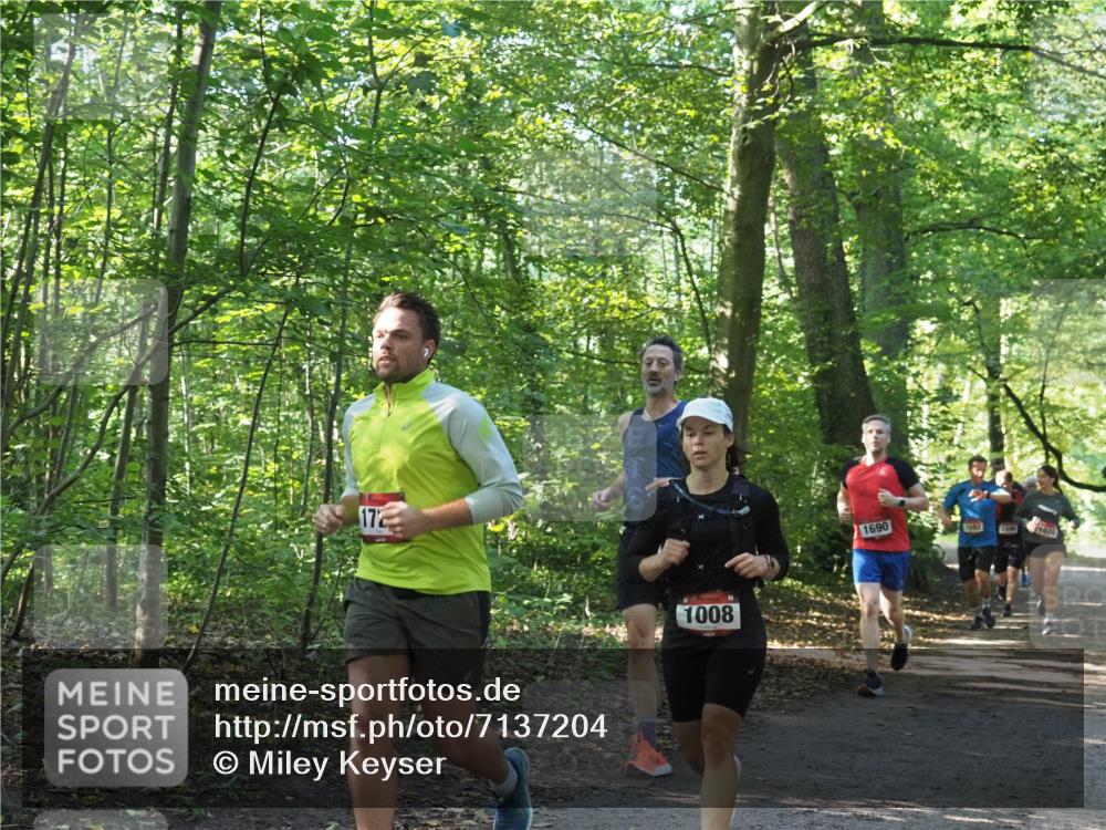 22.09.2024 - 32. Volkslauf durch das schöne Alstertal Miley Keyser http://msf.ph/oto/7137204 22.09.2024 10:22:29 Laufen 172, 1008, 1690, 1592, 1020 meine-sportfotos.de