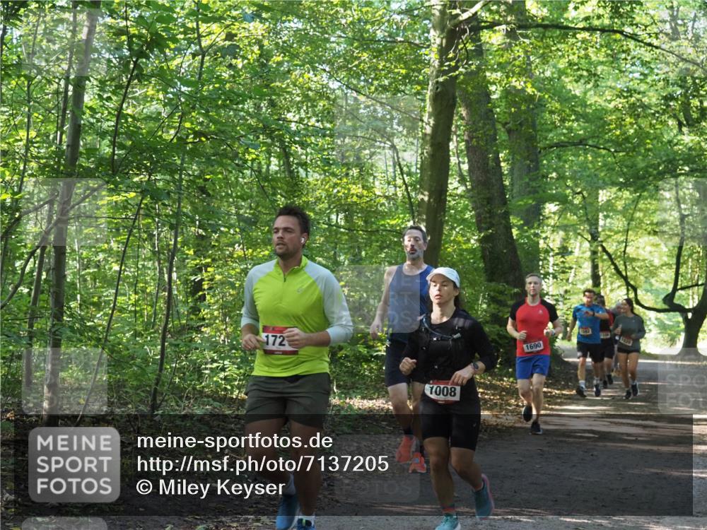 22.09.2024 - 32. Volkslauf durch das schöne Alstertal Miley Keyser http://msf.ph/oto/7137205 22.09.2024 10:22:29 Laufen 172, 1008, 1690, 1020 meine-sportfotos.de