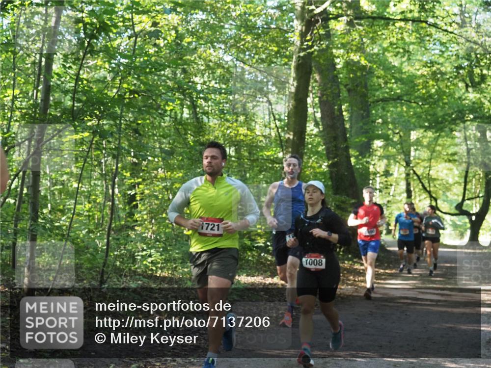 22.09.2024 - 32. Volkslauf durch das schöne Alstertal Miley Keyser http://msf.ph/oto/7137206 22.09.2024 10:22:29 Laufen 1721, 1008 meine-sportfotos.de