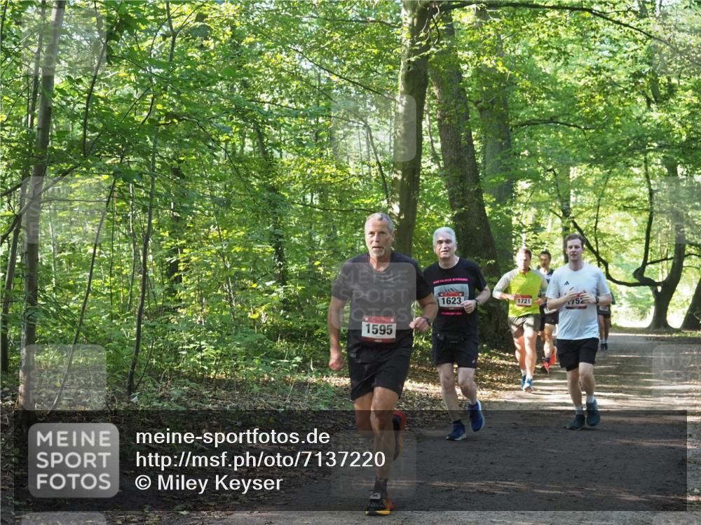 22.09.2024 - 32. Volkslauf durch das schöne Alstertal Miley Keyser http://msf.ph/oto/7137220 22.09.2024 10:22:26 Laufen 1595, 1623, 1721, 752 meine-sportfotos.de