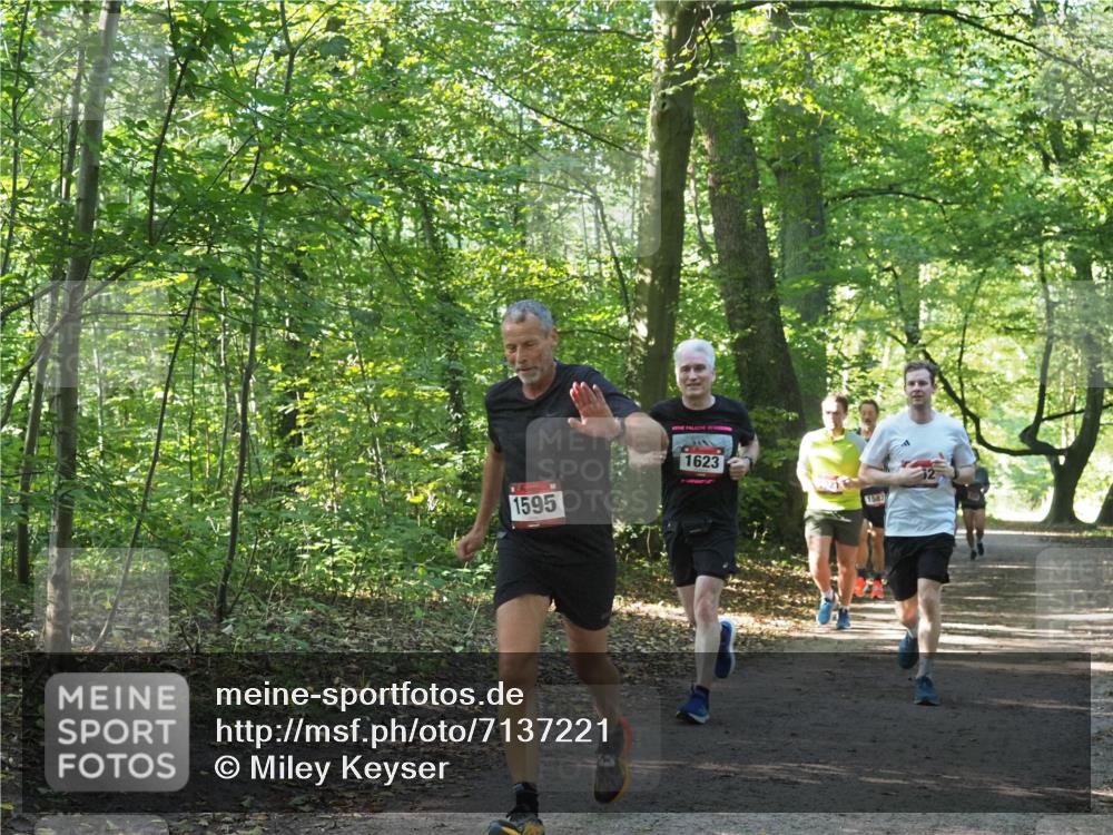 22.09.2024 - 32. Volkslauf durch das schöne Alstertal Miley Keyser http://msf.ph/oto/7137221 22.09.2024 10:22:26 Laufen 1595, 1623, 1587 meine-sportfotos.de