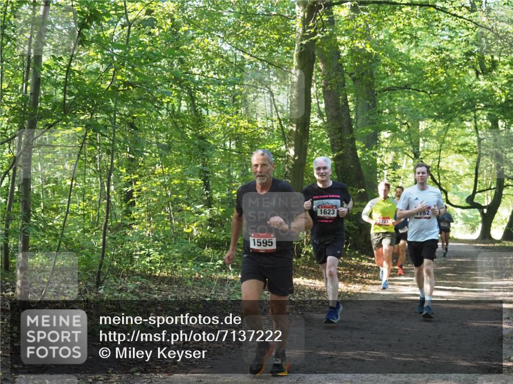 22.09.2024 - 32. Volkslauf durch das schöne Alstertal Miley Keyser http://msf.ph/oto/7137222 22.09.2024 10:22:26 Laufen 1595, 1623, 1721, 1587, 752 meine-sportfotos.de