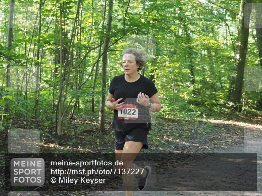 22.09.2024 - 32. Volkslauf durch das schöne Alstertal Miley Keyser http://msf.ph/oto/7137227 22.09.2024 10:22:20 Laufen 1022 meine-sportfotos.de