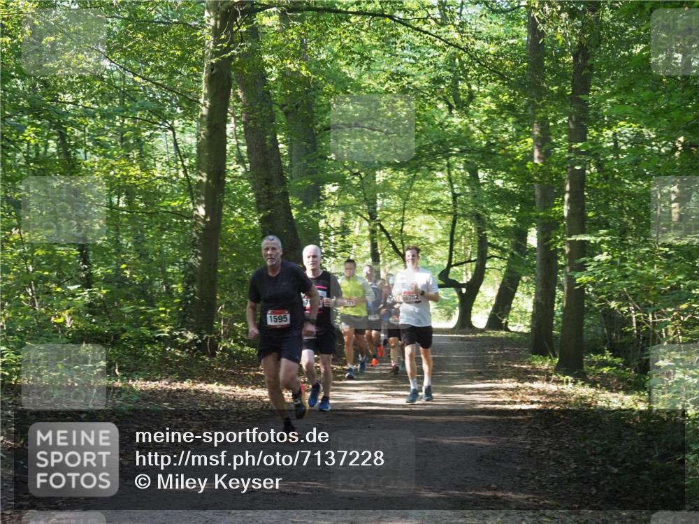 22.09.2024 - 32. Volkslauf durch das schöne Alstertal Miley Keyser http://msf.ph/oto/7137228 22.09.2024 10:22:25 Laufen 1595, 721, 752 meine-sportfotos.de