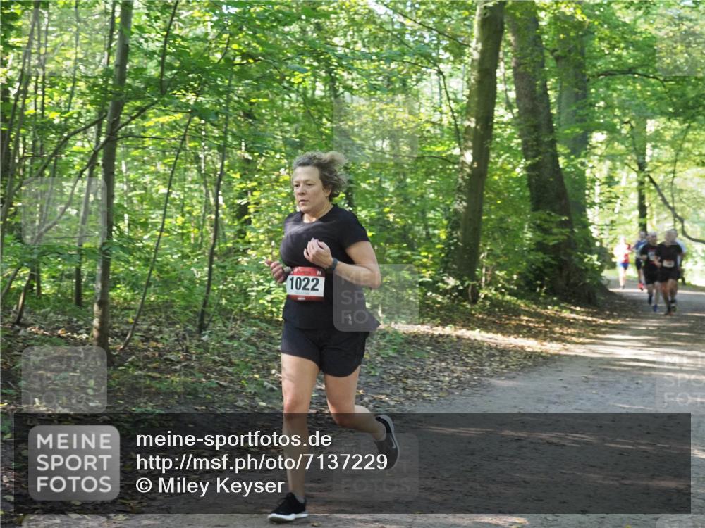 22.09.2024 - 32. Volkslauf durch das schöne Alstertal Miley Keyser http://msf.ph/oto/7137229 22.09.2024 10:22:20 Laufen 1022 meine-sportfotos.de