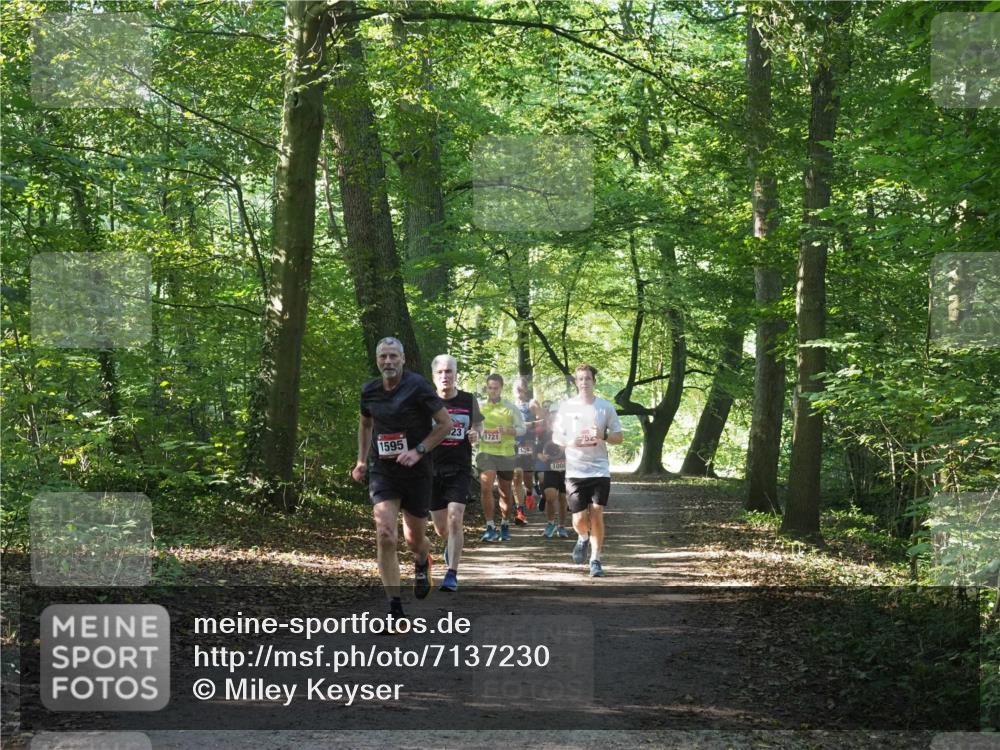22.09.2024 - 32. Volkslauf durch das schöne Alstertal Miley Keyser http://msf.ph/oto/7137230 22.09.2024 10:22:25 Laufen 23, 1721, 1595, 1587, 1008 meine-sportfotos.de