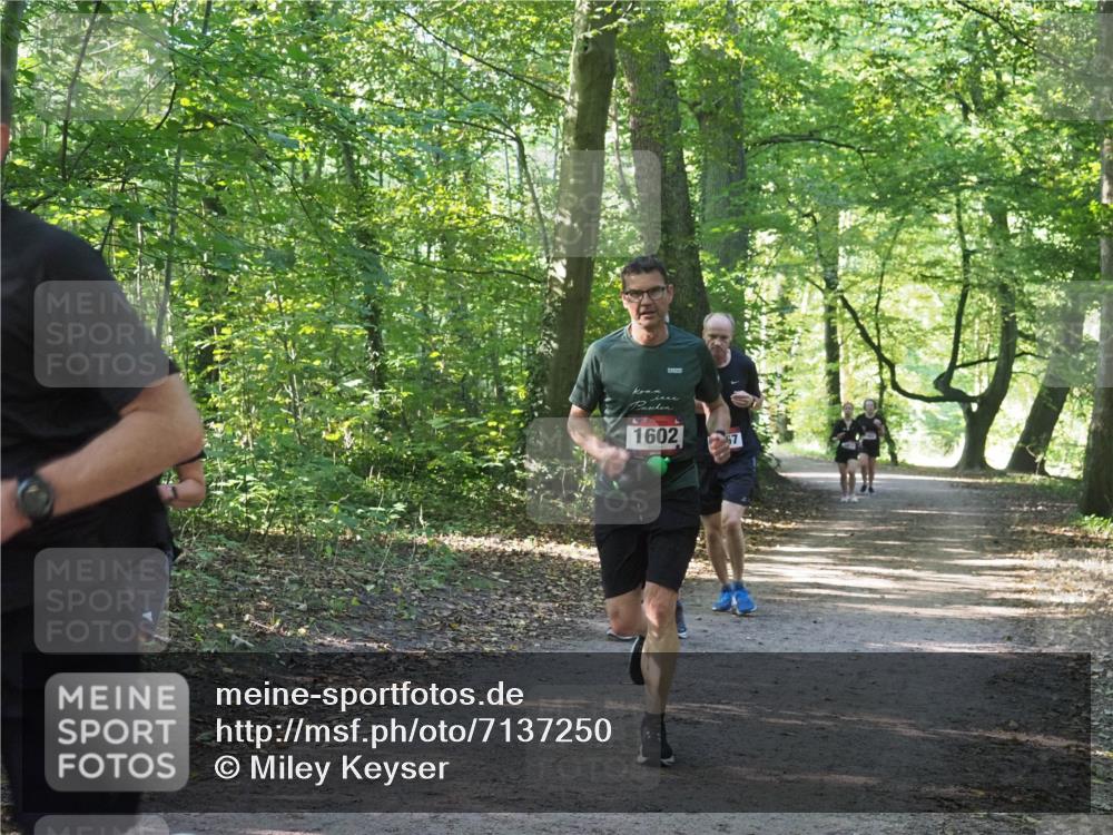 22.09.2024 - 32. Volkslauf durch das schöne Alstertal Miley Keyser http://msf.ph/oto/7137250 22.09.2024 10:22:11 Laufen 1602 meine-sportfotos.de