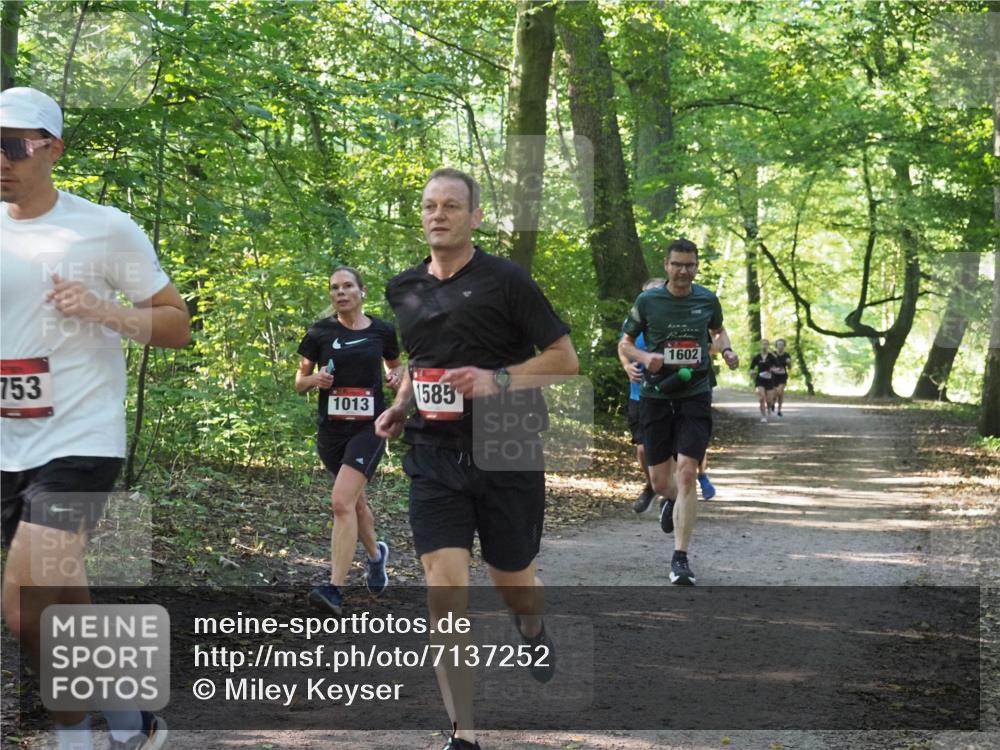 22.09.2024 - 32. Volkslauf durch das schöne Alstertal Miley Keyser http://msf.ph/oto/7137252 22.09.2024 10:22:10 Laufen 753, 1013, 1585, 1602 meine-sportfotos.de