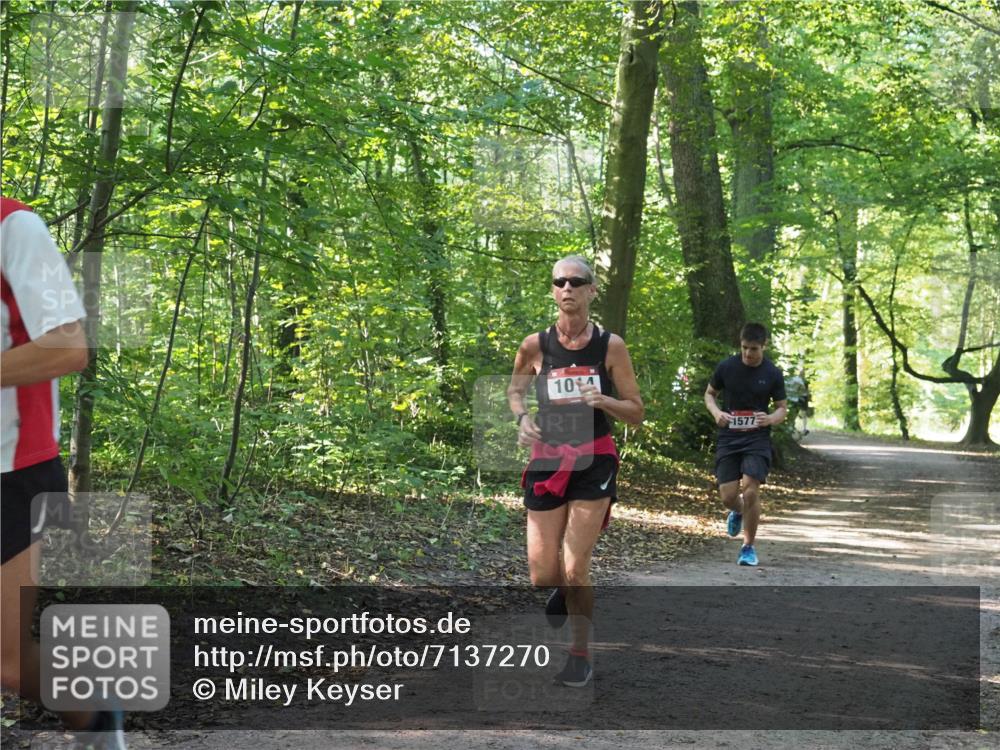 22.09.2024 - 32. Volkslauf durch das schöne Alstertal Miley Keyser http://msf.ph/oto/7137270 22.09.2024 10:21:56 Laufen 104, 1577 meine-sportfotos.de