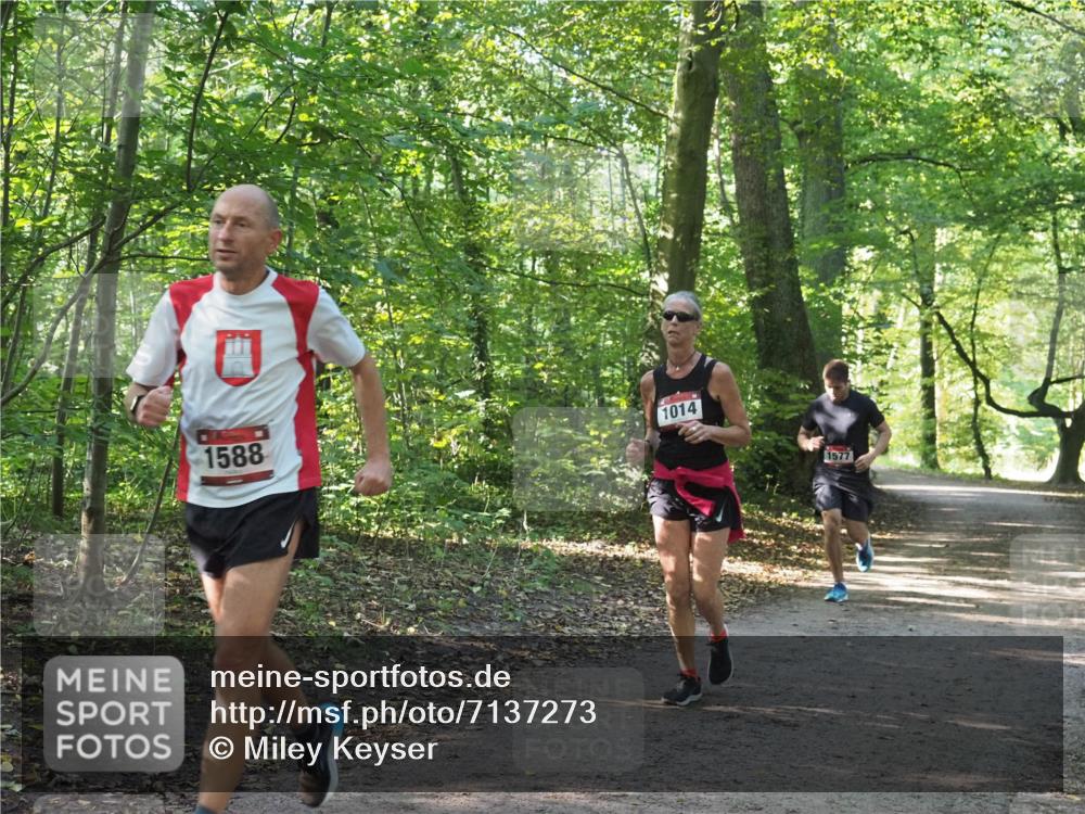 22.09.2024 - 32. Volkslauf durch das schöne Alstertal Miley Keyser http://msf.ph/oto/7137273 22.09.2024 10:21:56 Laufen 1588, 1014, 1577 meine-sportfotos.de