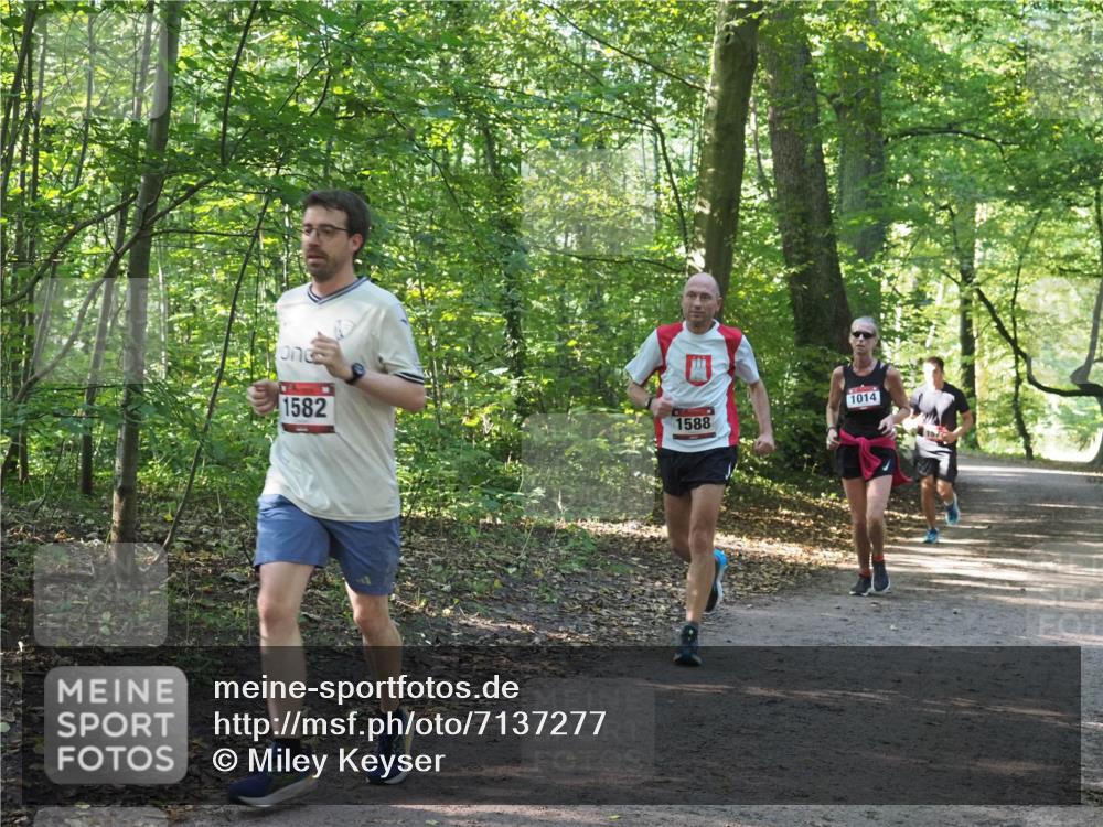22.09.2024 - 32. Volkslauf durch das schöne Alstertal Miley Keyser http://msf.ph/oto/7137277 22.09.2024 10:21:54 Laufen 1582, 1014, 1588 meine-sportfotos.de