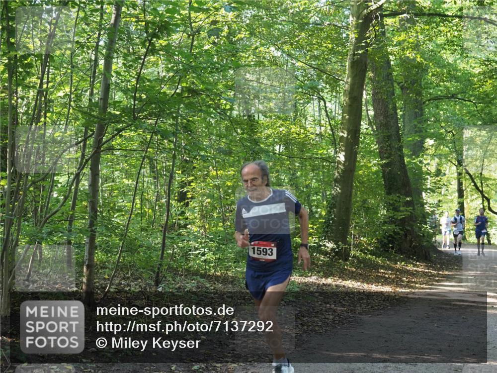22.09.2024 - 32. Volkslauf durch das schöne Alstertal Miley Keyser http://msf.ph/oto/7137292 22.09.2024 10:21:42 Laufen 1593 meine-sportfotos.de