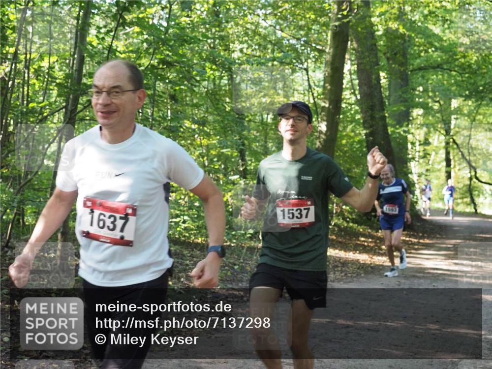 22.09.2024 - 32. Volkslauf durch das schöne Alstertal Miley Keyser http://msf.ph/oto/7137298 22.09.2024 10:21:40 Laufen 1637, 1537, 1593 meine-sportfotos.de