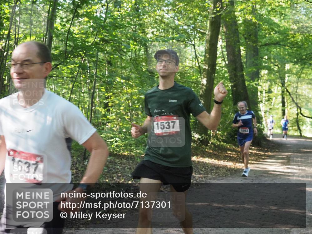 22.09.2024 - 32. Volkslauf durch das schöne Alstertal Miley Keyser http://msf.ph/oto/7137301 22.09.2024 10:21:40 Laufen 1637, 1537, 1593 meine-sportfotos.de