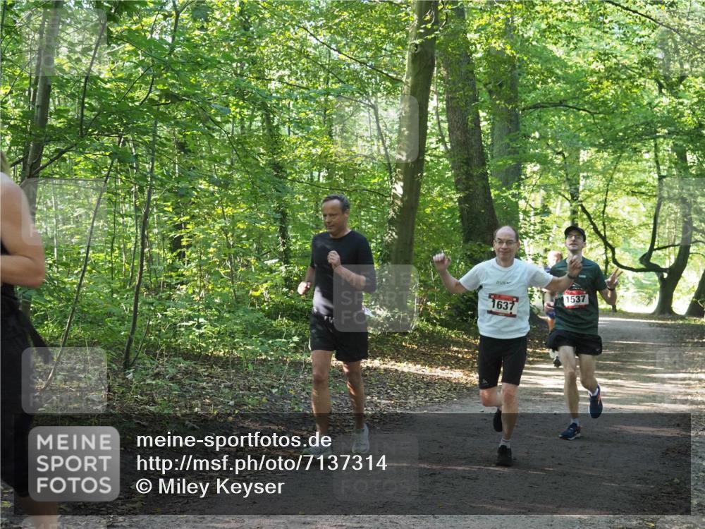 22.09.2024 - 32. Volkslauf durch das schöne Alstertal Miley Keyser http://msf.ph/oto/7137314 22.09.2024 10:21:38 Laufen 1637, 1537 meine-sportfotos.de
