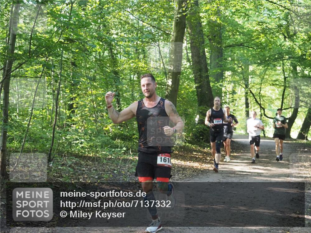 22.09.2024 - 32. Volkslauf durch das schöne Alstertal Miley Keyser http://msf.ph/oto/7137332 22.09.2024 10:21:35 Laufen 161, 1597 meine-sportfotos.de