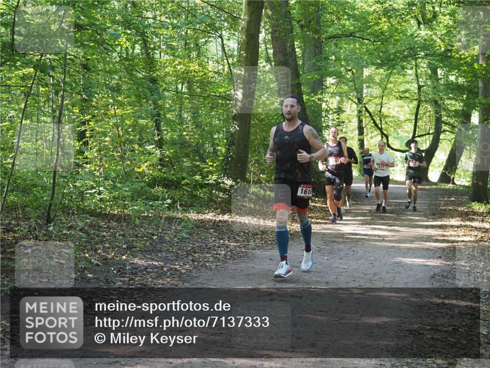 22.09.2024 - 32. Volkslauf durch das schöne Alstertal Miley Keyser http://msf.ph/oto/7137333 22.09.2024 10:21:34 Laufen 1616, 597, 1637 meine-sportfotos.de